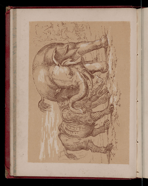 The page opposite the elephant illustration reads: "How heavy and clumsy the Elephant looks! yet he is very active, and able to do many things with great neatness. If you hold a sixpence in your hand, he will take it up in his large trunk, and place it where his keeper tells him. With the same trunk he is aable to tear up trees, and to strike so hard that the blow would kill a man. In foreign countries he is used to ride upon, as we eride upon horses. . . ."